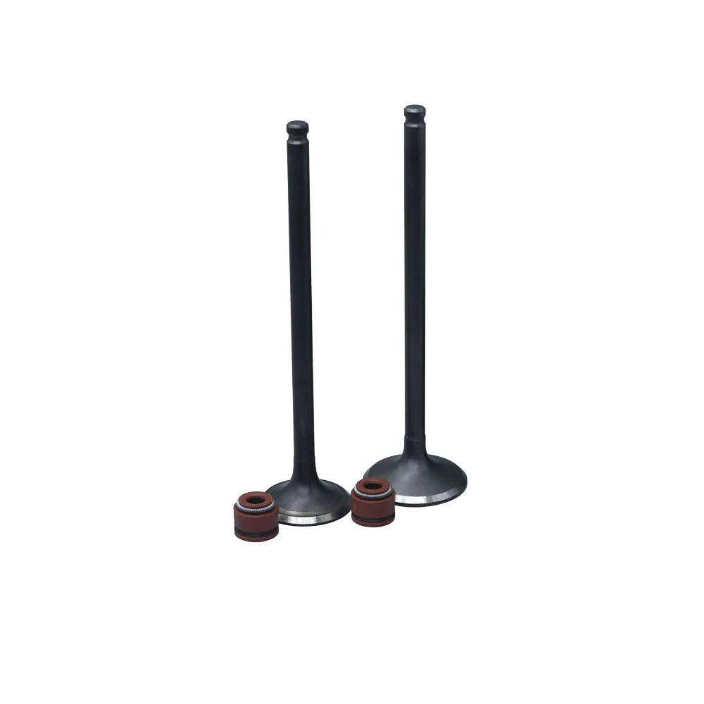 KIT VALVULAS ADM Y ESC GN125H CON SELLOS