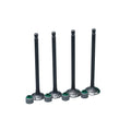 KIT VALVULAS ADM Y ESC PULSAR 135 CON SELLOS