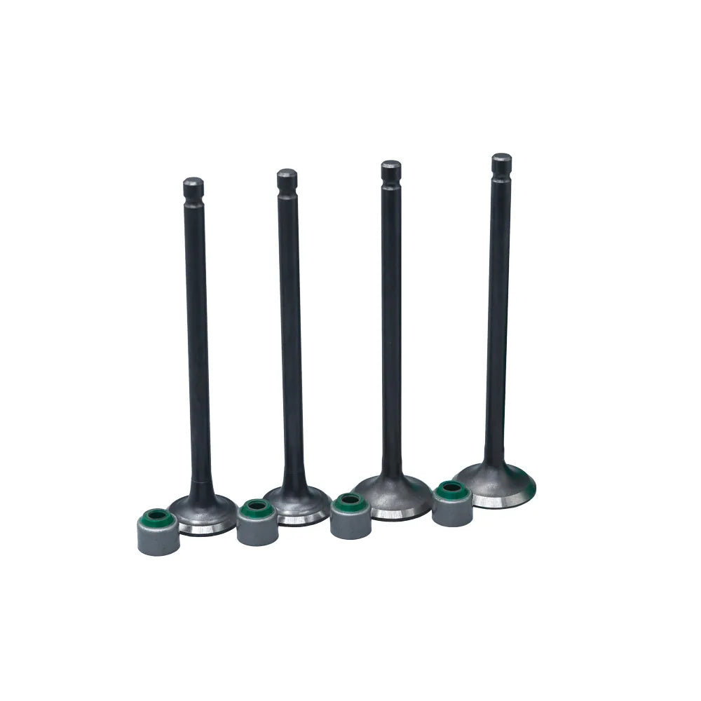KIT VALVULAS ADM Y ESC PULSAR 135 CON SELLOS