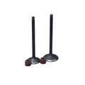 KIT VALVULAS ADM Y ESC AGILITY125 CON SELLOS