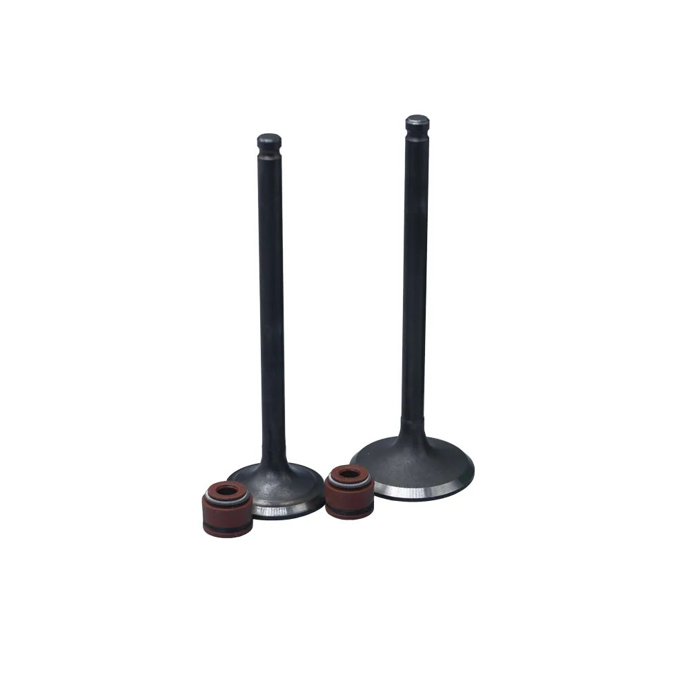 KIT VALVULAS ADM Y ESC AGILITY125 CON SELLOS