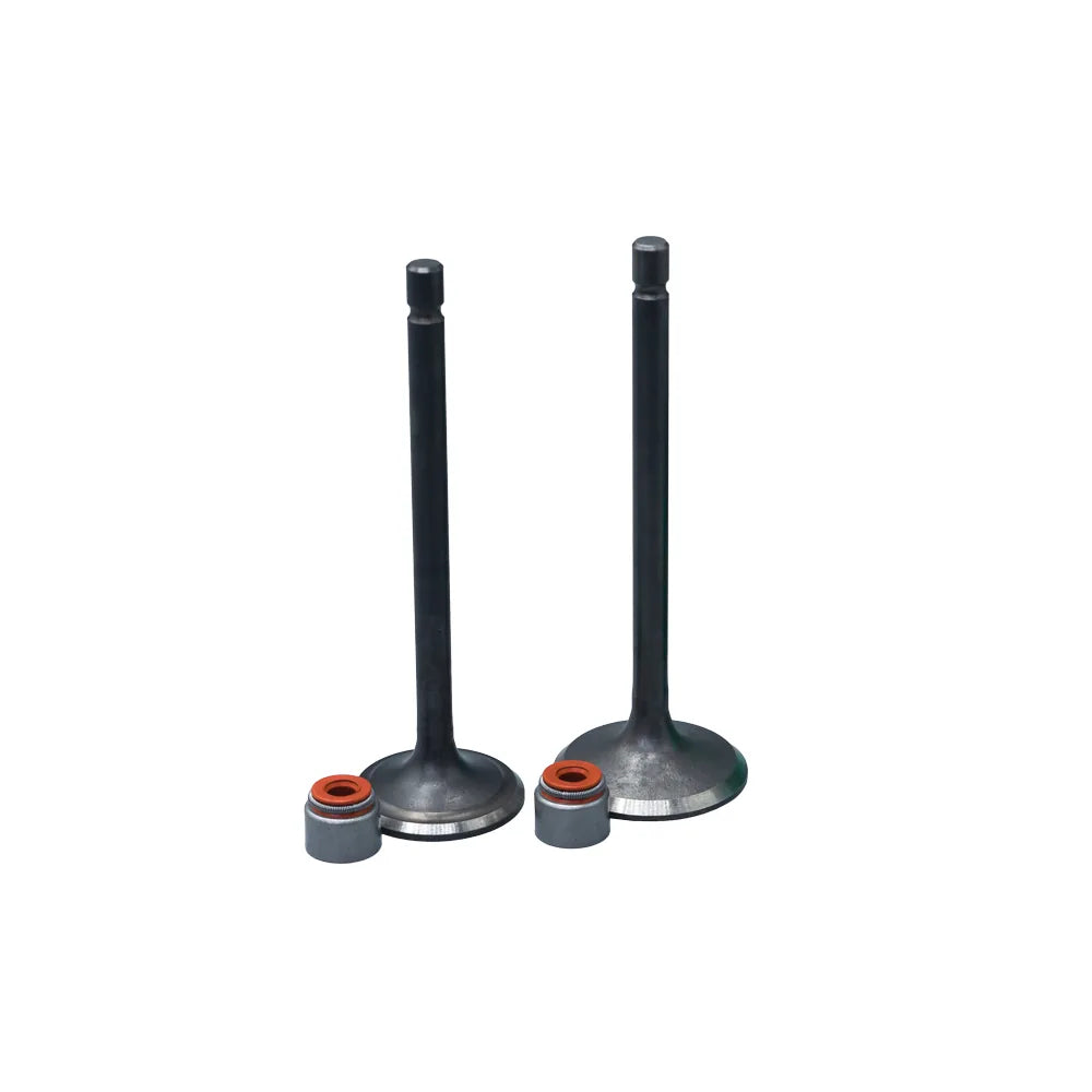 KIT VALVULAS ADM Y ESC TVS160/180 CON SELLOS
