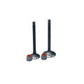 KIT VALVULAS ADM Y ESC TVS100 CON SELLOS