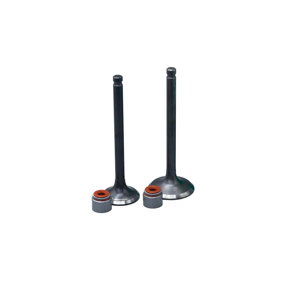 KIT VALVULAS ADM Y ESC TVS100 CON SELLOS