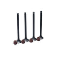 KIT VALVULAS ADM Y ESC BW125X CON SELLOS