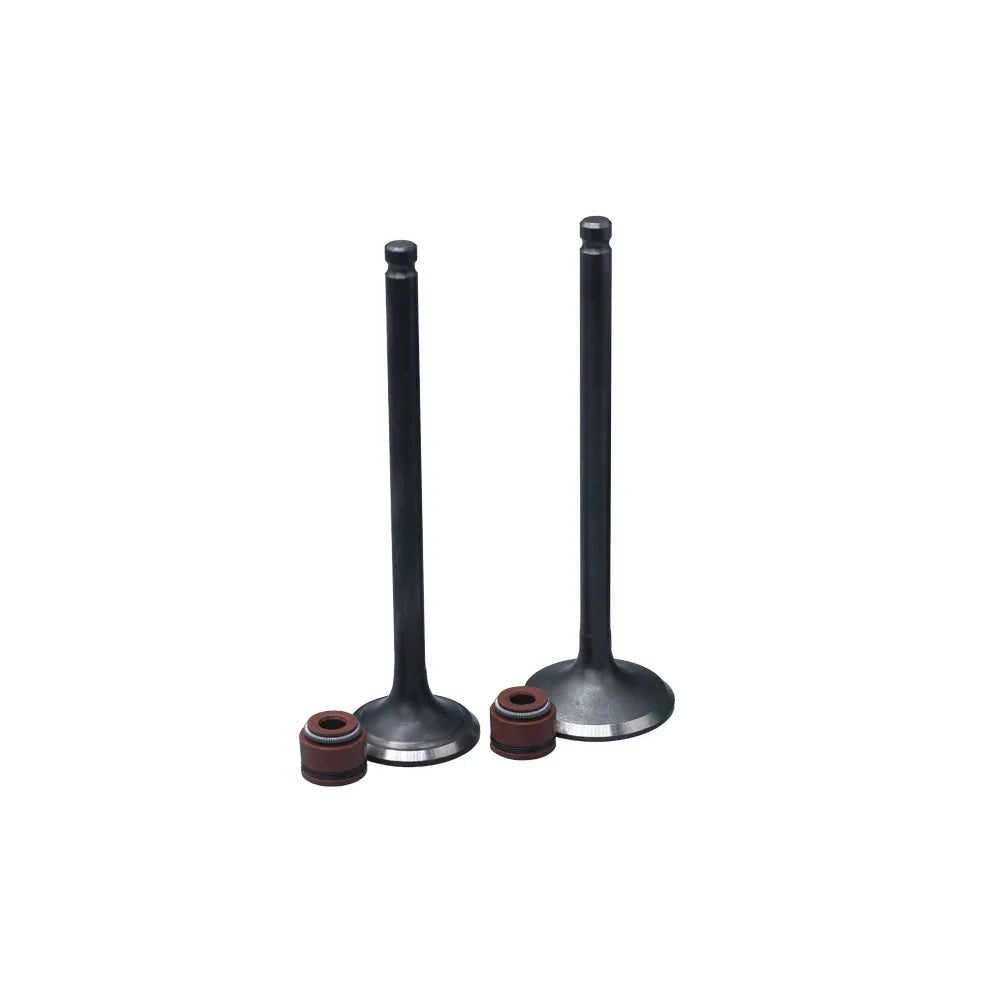 KIT VALVULAS ADM Y ESC DYNAMIC 125 PRO CON SELLOS