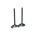 KIT VALVULAS ADM Y ESC FZ2.0/ XTZ150 CON SELLOS