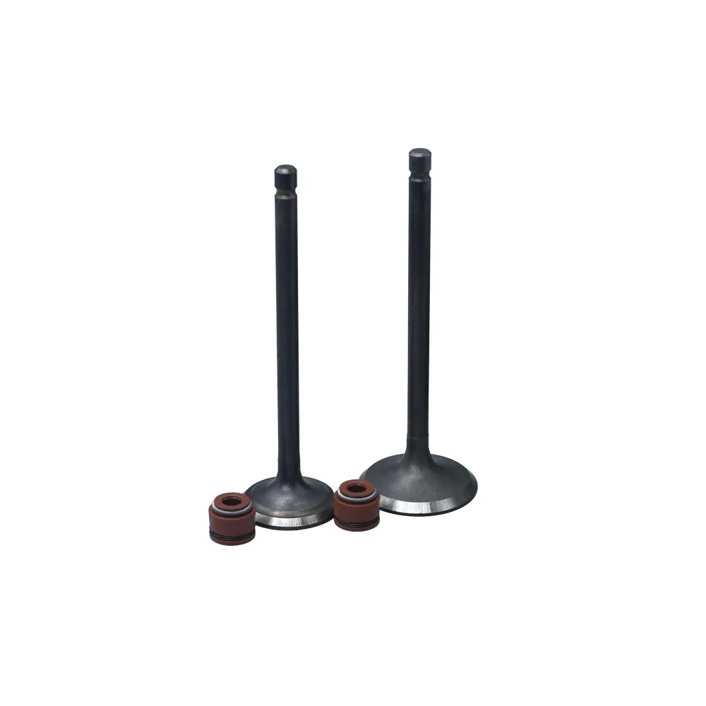 KIT VALVULAS ADM Y ESC FZ16/ SZR150 CON SELLOS