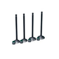 KIT VALVULAS ADM Y ESC DISCOVER125 CON SELLOS
