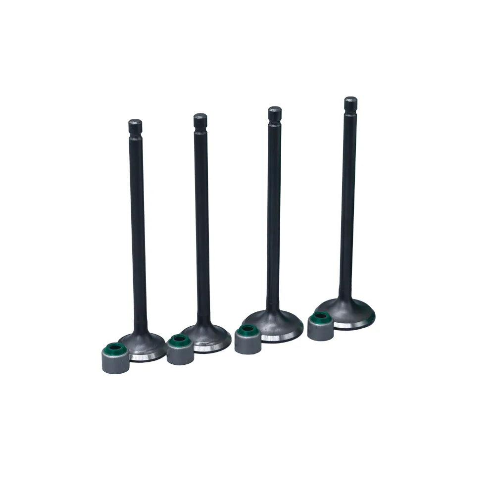KIT VALVULAS ADM Y ESC DISCOVER125 CON SELLOS