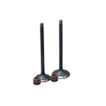 KIT VALVULAS ADM Y ESC XR150/ CB125S CON SELLOS