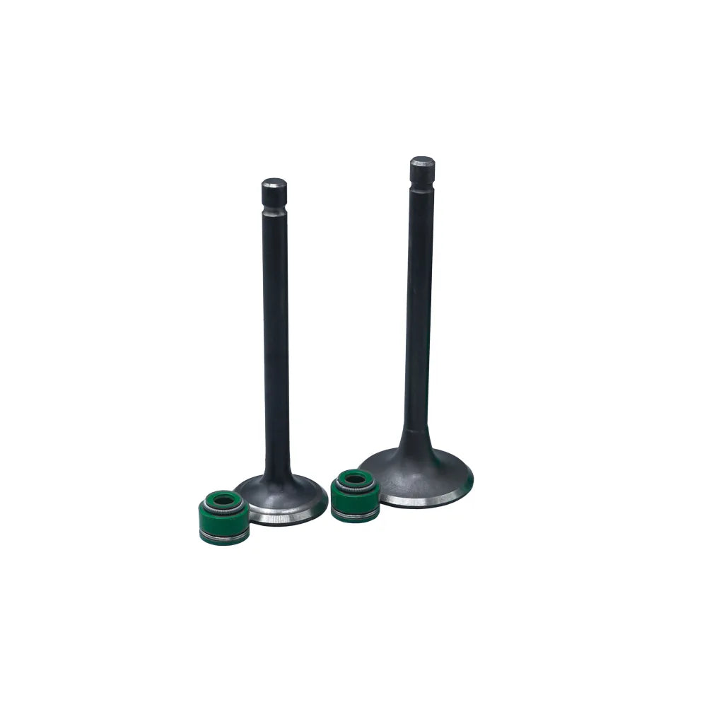 KIT VALVULAS ADM Y ESC MOTORCARRO/ RE205D CON SELLOS