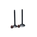 KIT VALVULAS ADM Y ESC AX-4/ VIVAR115 CON SELLOS
