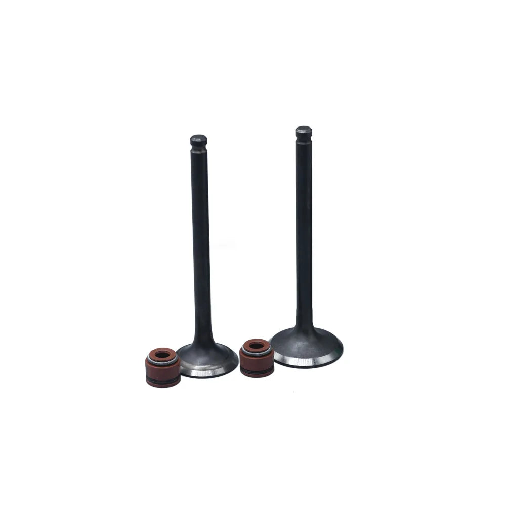 KIT VALVULAS ADM Y ESC AX-4/ VIVAR115 CON SELLOS