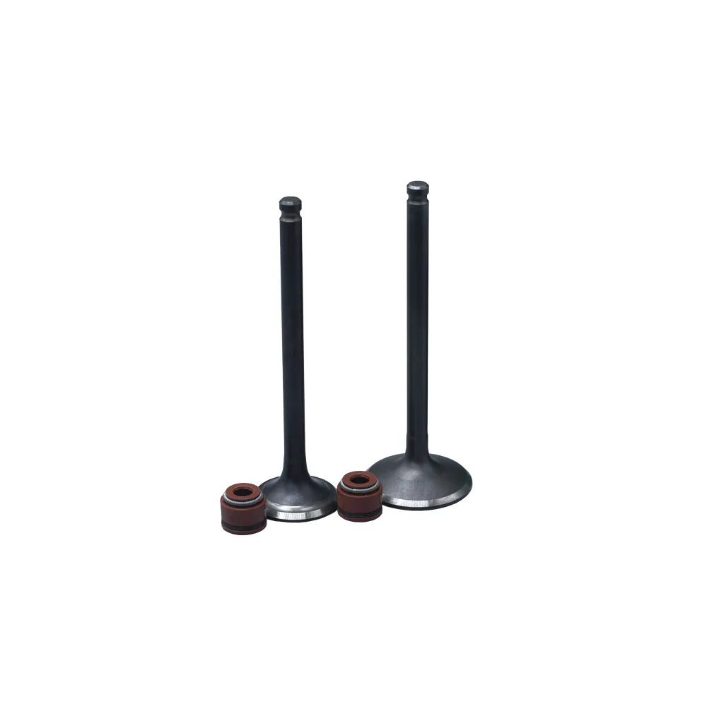 KIT VALVULAS ADM Y ESC CRYPTON115FI/ YC-Z110 CON SELLOS