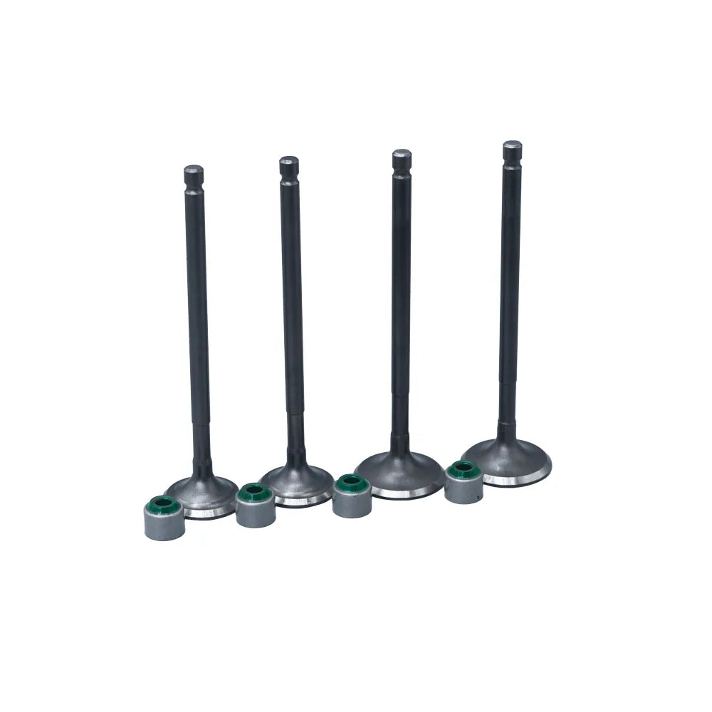 KIT VALVULAS ADM Y ESC TVS RTR200 CON SELLOS