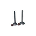 KIT VALVULAS ADM Y ESC AK125 FLEX CON SELLOS