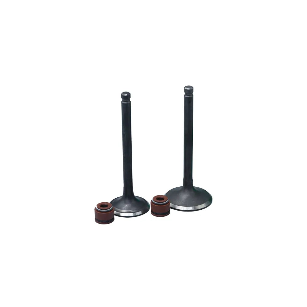 KIT VALVULAS ADM Y ESC AK125 FLEX CON SELLOS