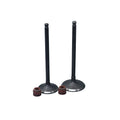 KIT VALVULAS ADM Y ESC AK180 TTR/ CR5 CON SELLOS