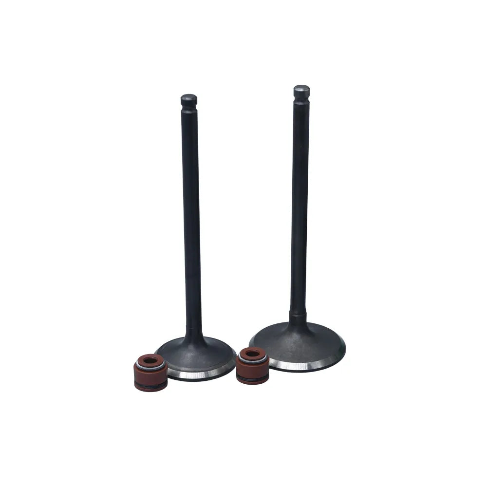 KIT VALVULAS ADM Y ESC AK180 TTR/ CR5 CON SELLOS