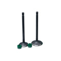 KIT VALVULAS ADM Y ESC AK180 XM CON SELLOS