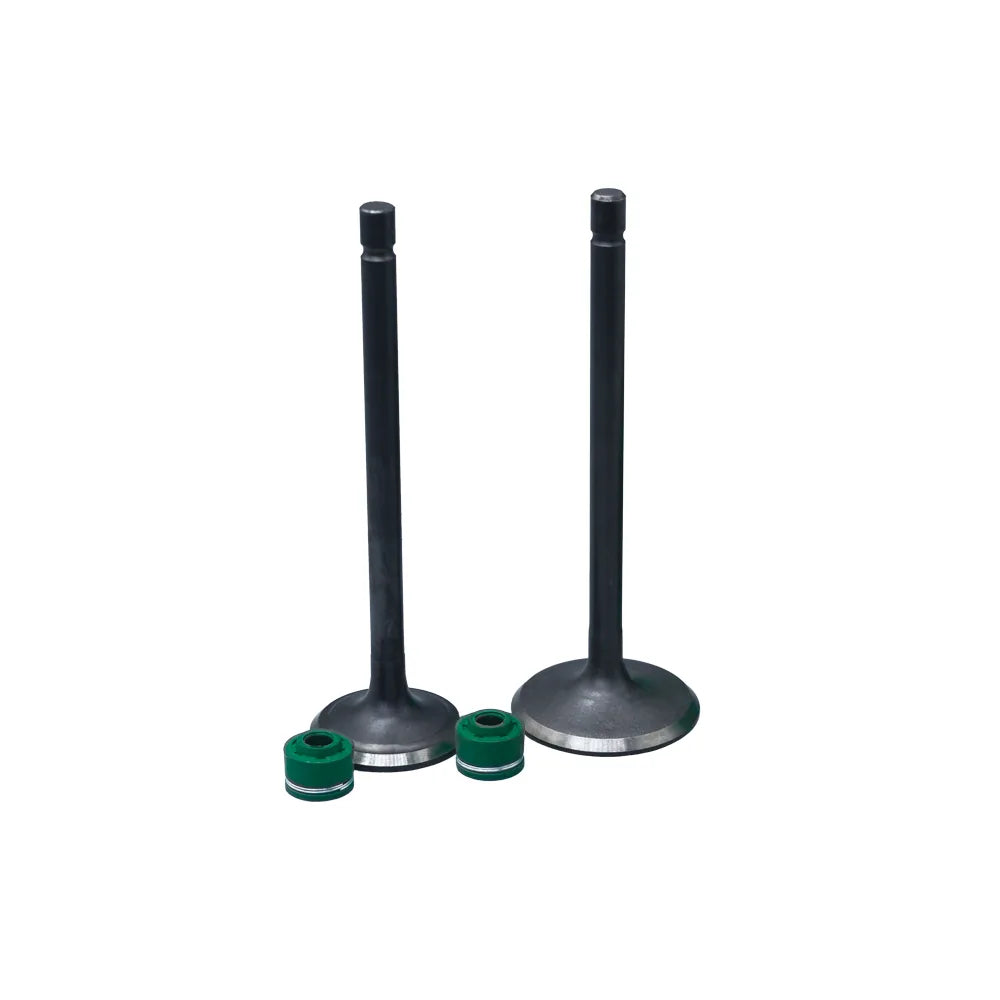 KIT VALVULAS ADM Y ESC AK180 XM CON SELLOS