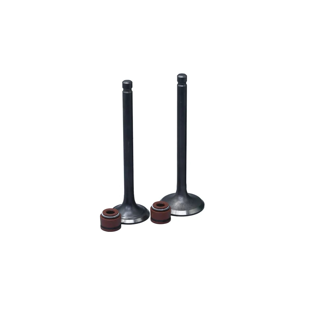 KIT VALVULAS ADM Y ESC WAVE125/ BIZ125 CON SELLOS