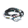 RAMAL ELECTRICO AKT TT 180 R 2018