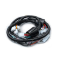 RAMAL ELECTRICO DISCOVER 100 SPORT