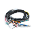 RAMAL ELECTRICO AX 100 MV 1995-1998