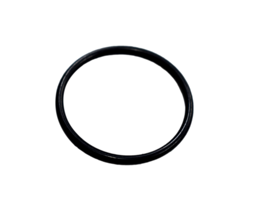 Oring Bomba De Agua Xt 660R Yamaha Original